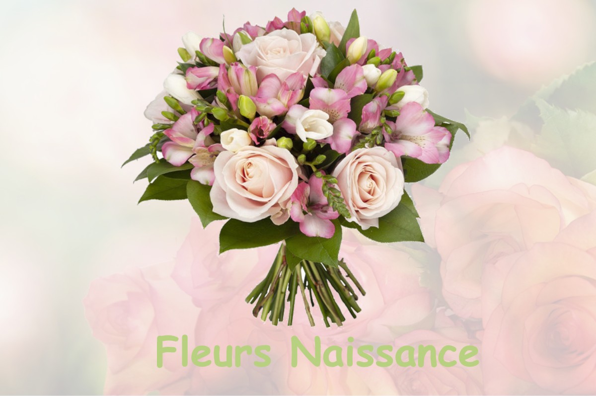 fleurs naissance NUAILLE-SUR-BOUTONNE
